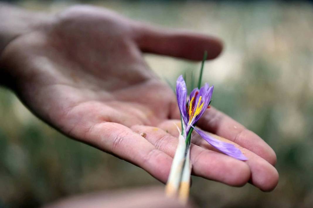14 metrekarelik odaya kurduğu sistemle köşeyi döndü! 14